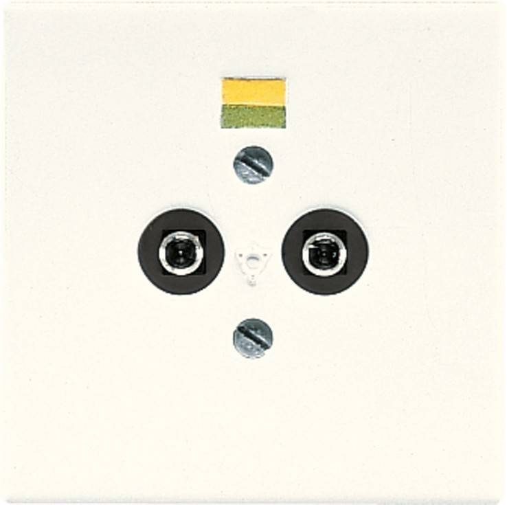 Eine weiße Wandsteckdose zum Anschluss einer TV-Antenne, mit zwei kreisförmigen Anschlüssen mit schwarzen Rändern und zwei Schrauben zur Befestigung der Installation.