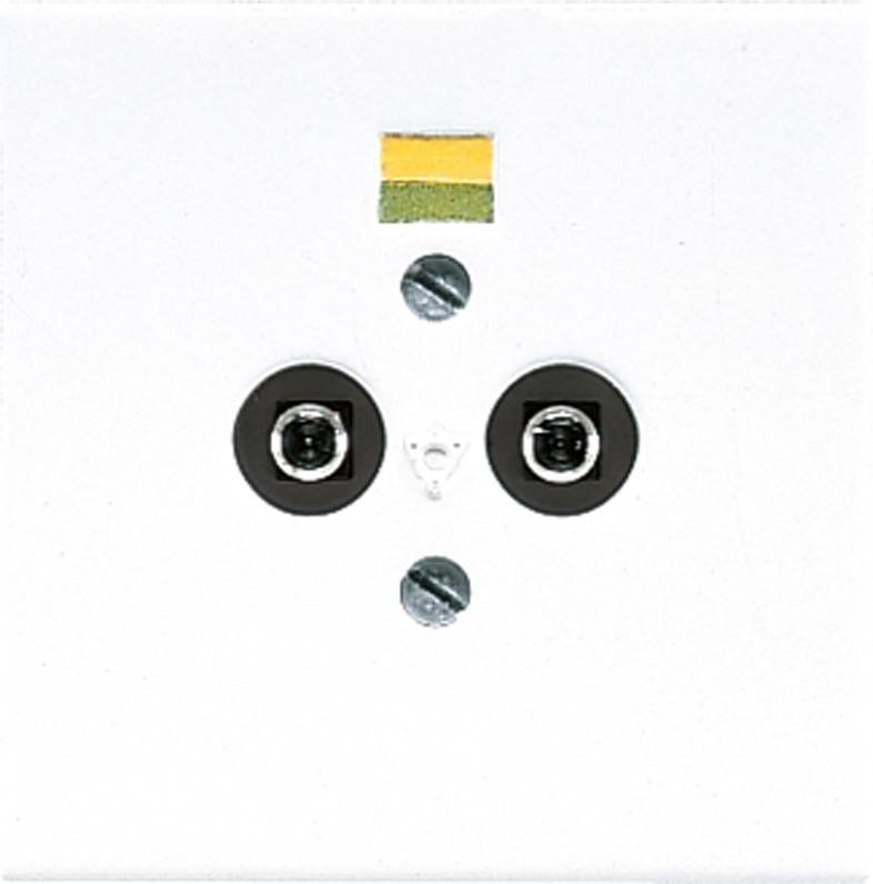 Eine Nahaufnahme eines Gesichts, das mit Steckdosenkomponenten gezeichnet wurde; die Augen sind zwei Steckdosen, die Nase eine Schraube und eine Schraube unterhalb ähnelt einem Mund.