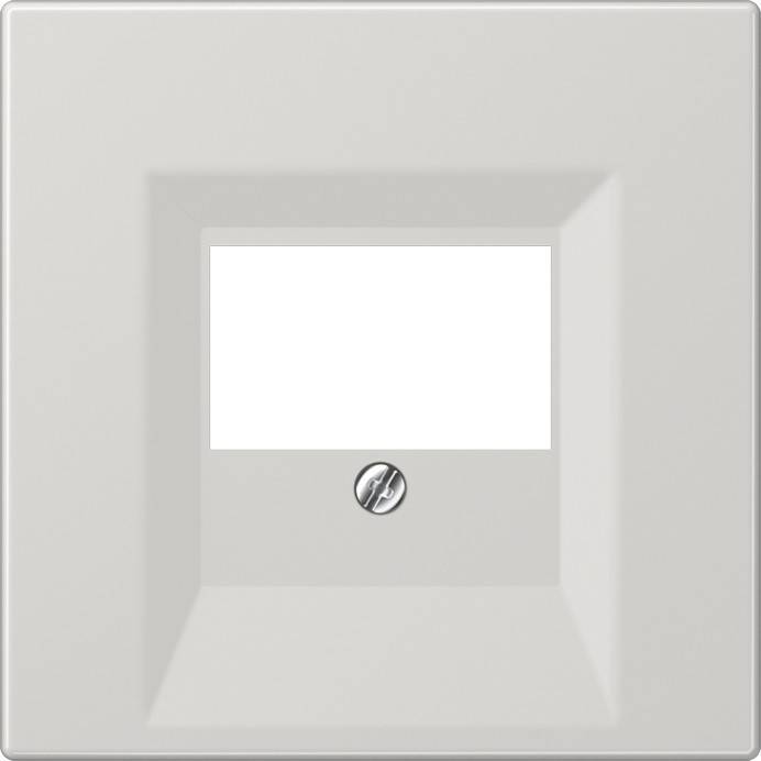 Leere Lichtschalterabdeckung mit einer Schraube in der Mitte.