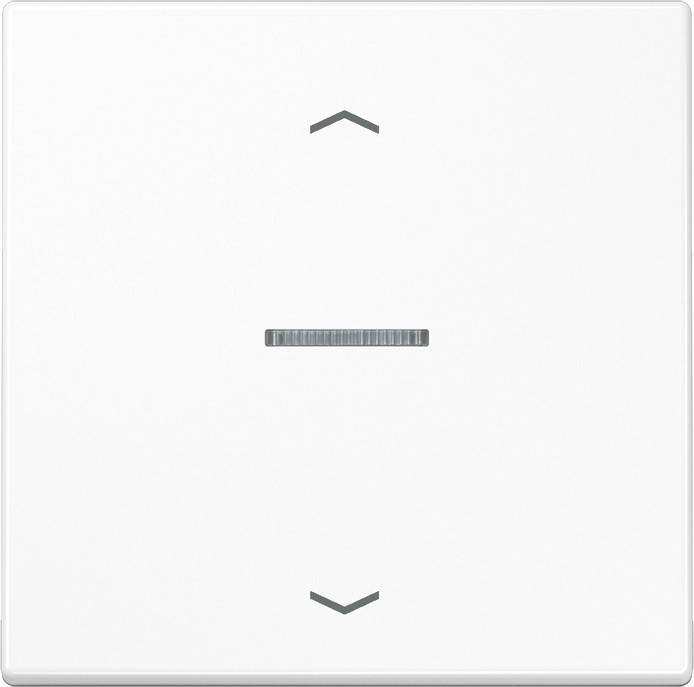 Jung Wippe Symbole/Lichtl.aws LS 990 KO5P WW