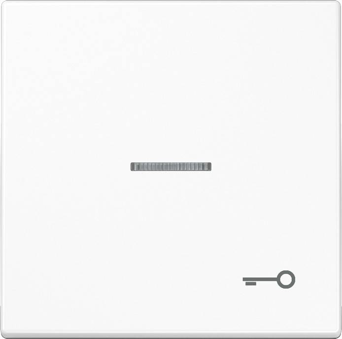 Jung Wippe Sym.TÜR/Lichtl.aws LS 990 KO5 T WW