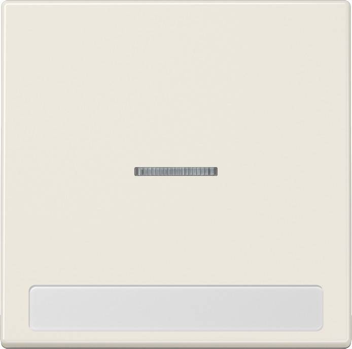 Jung Wippe Licht./Schriftf.ws LS 990 NAKO5