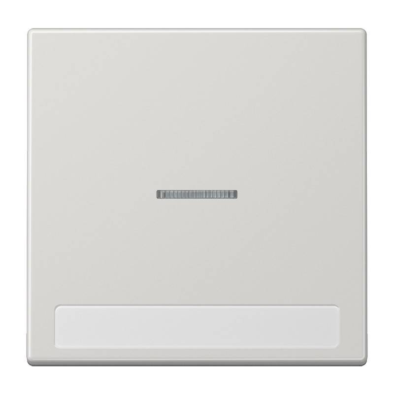 Jung Wippe Licht./Schriftf.lgr LS 990 NAKO5 LG