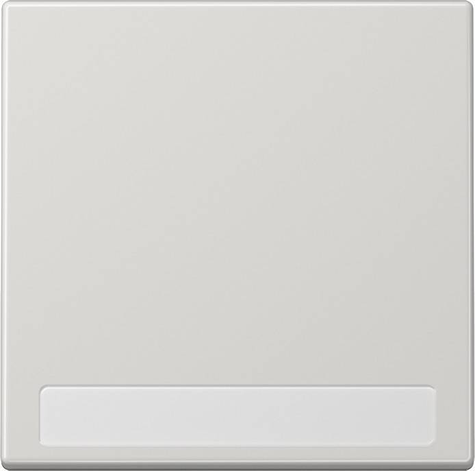 Jung Wippe Schriftfeld lgr LS 990 NA LG