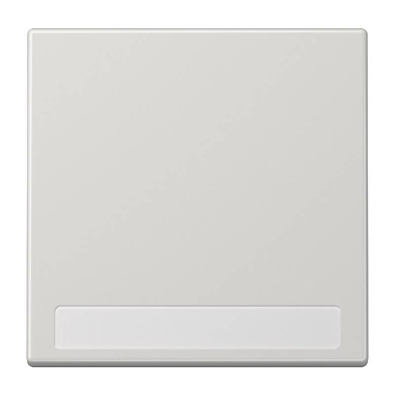 Jung Wippe Schriftfeld lgr LS 990 NA LG