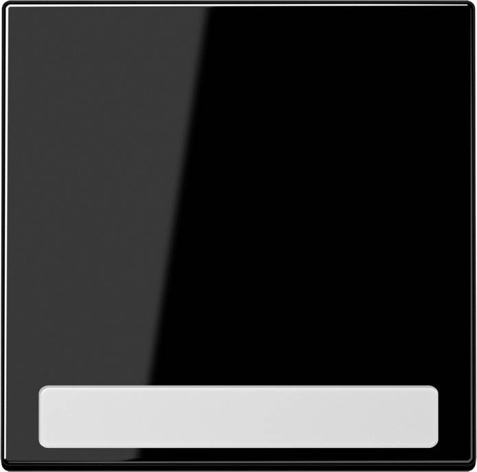 Jung Wippe Schriftfeld sw LS 990 NA SW