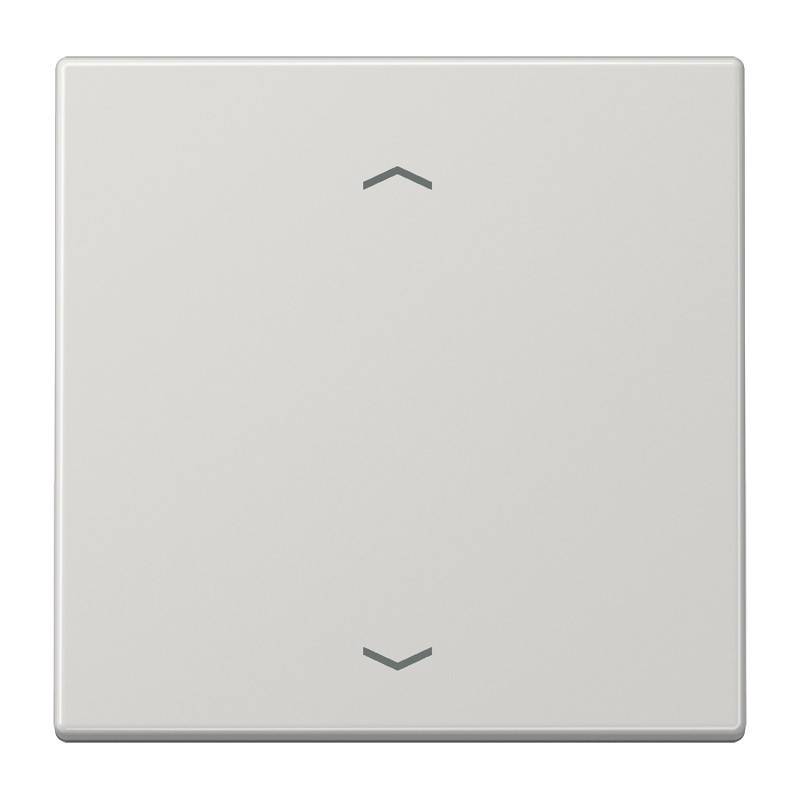 Jung Wippe Symbole lgr LS 990 P LG
