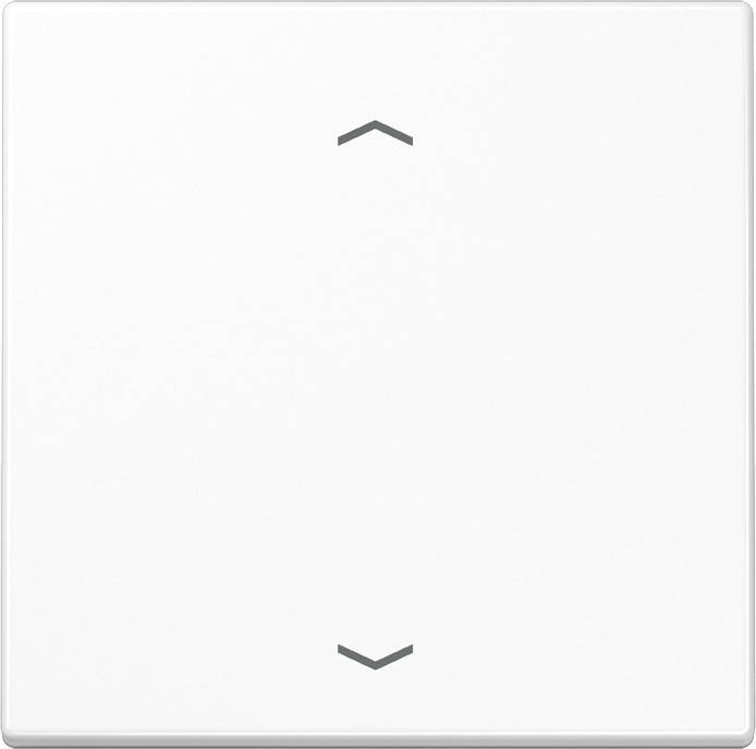 Jung Steuertaste Standard LS 1700 P WW