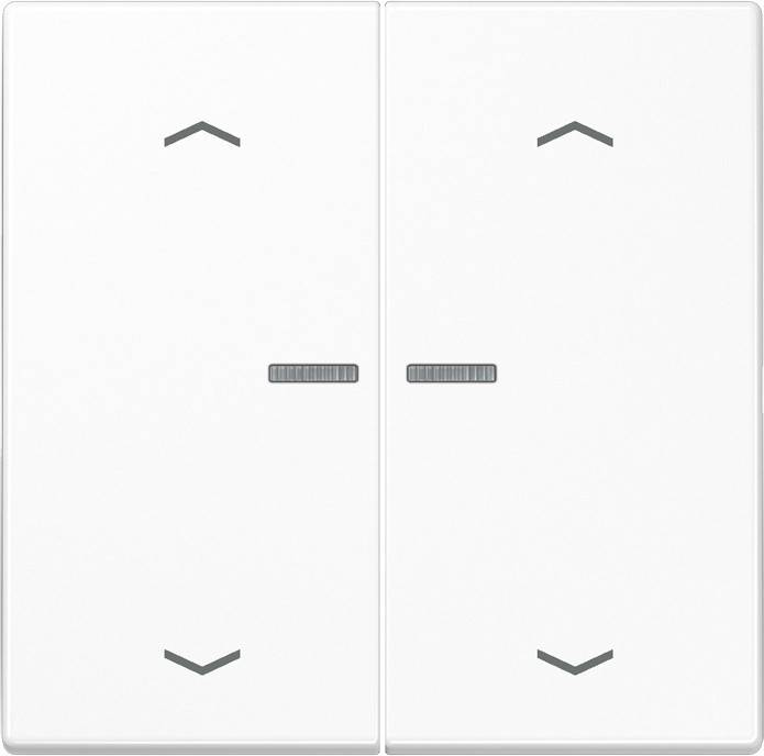 Jung Wippe Symbole/Lichtl.aws LS 995 KO5MP WW