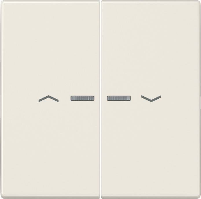 Jung Wippe Symbole/Lichtl.ws LS 995 KO5P
