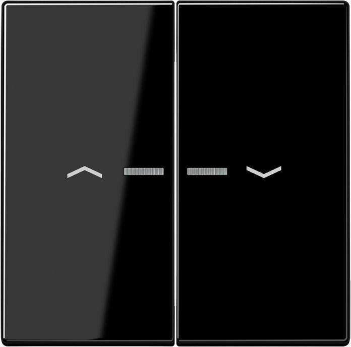 Jung Wippe Symbole/Lichtl.sw LS 995 KO5P SW