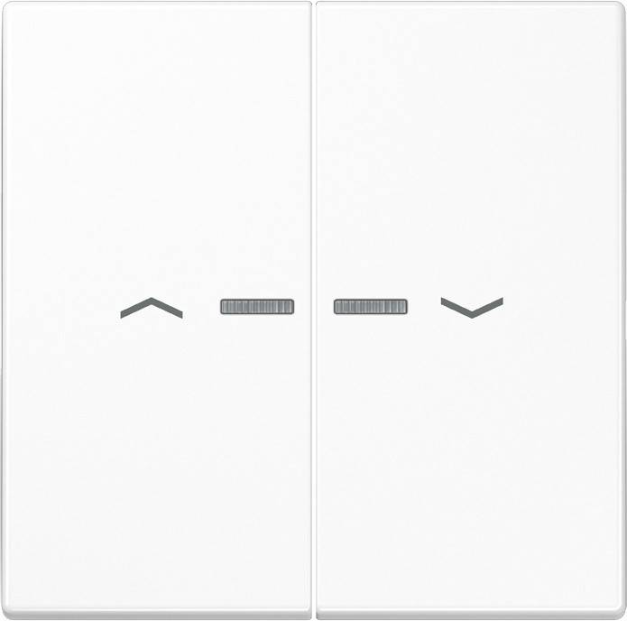 Jung Wippe Symbole/Lichtl.aws LS 995 KO5P WW