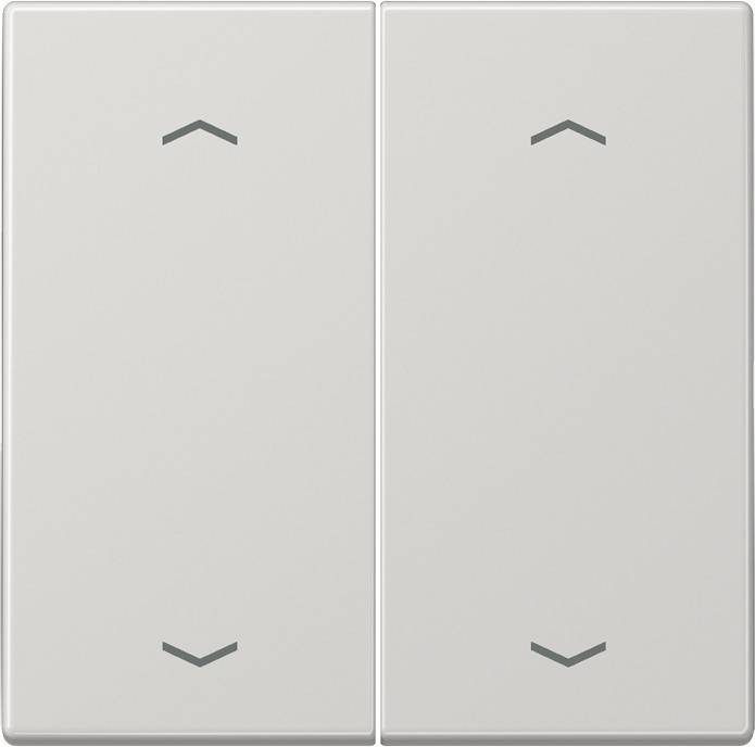 Jung Wippe Symbole lgr LS 995 MP LG