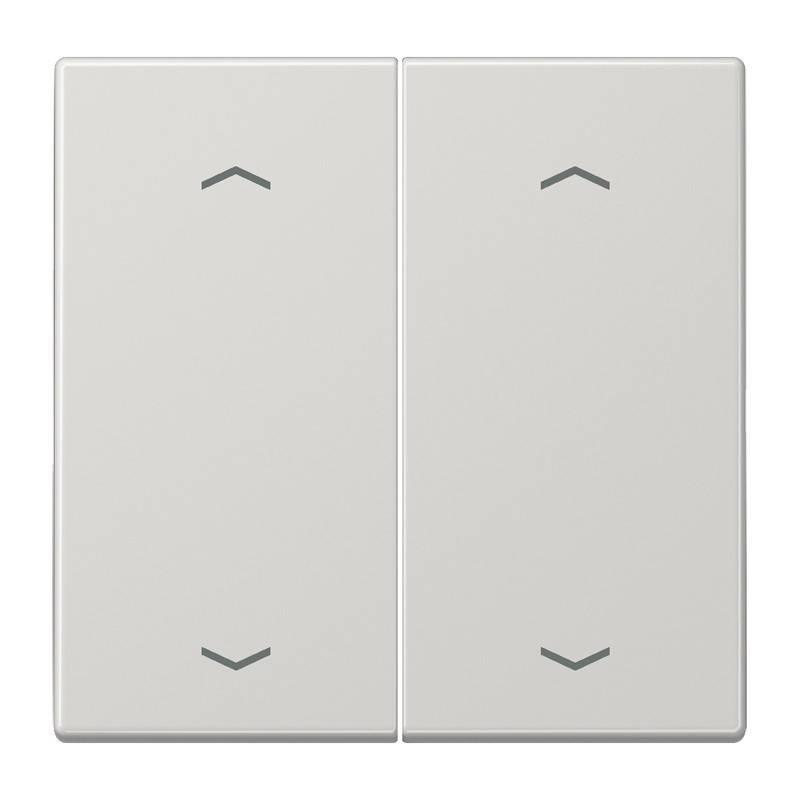 Jung Wippe Symbole lgr LS 995 MP LG