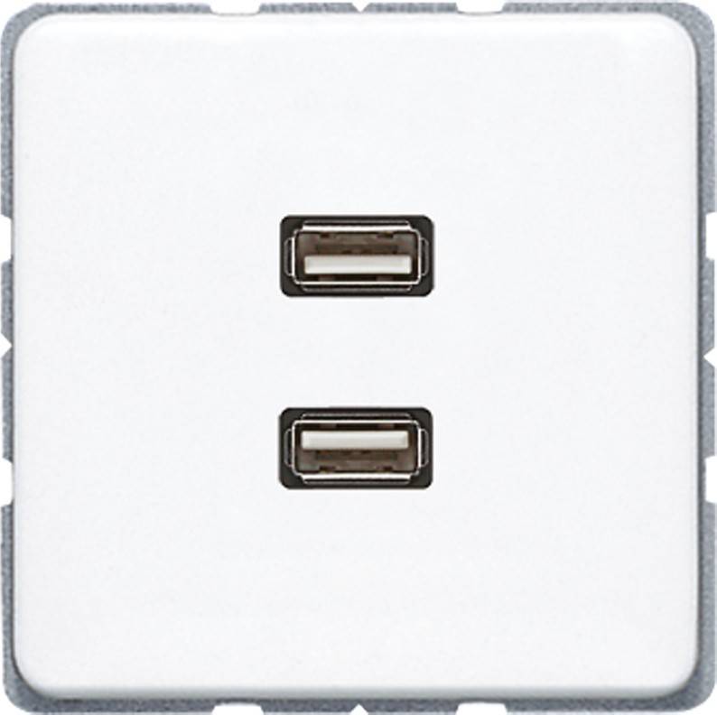 Eine weiße Wandplatte mit zwei USB-Anschlüssen, vertikal übereinander angeordnet, konzipiert zum Aufladen von Geräten.