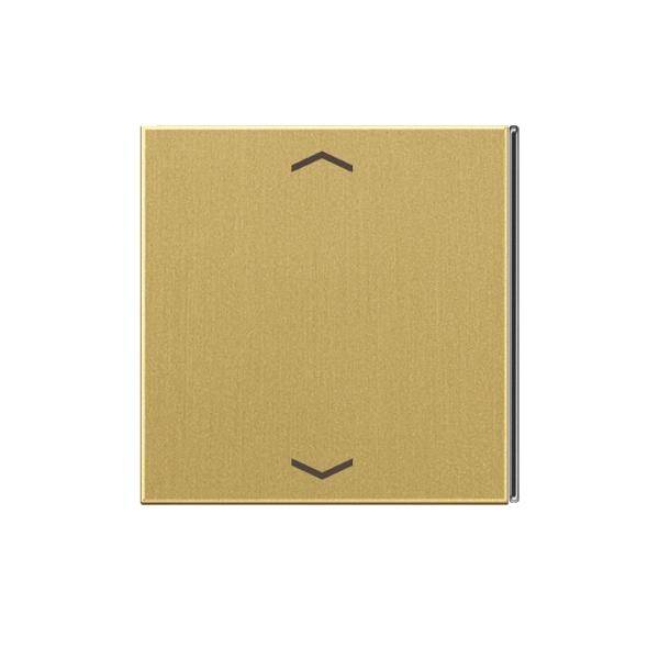 Jung Taste 4f. Mess/antik ME 2404 TSAP C 23