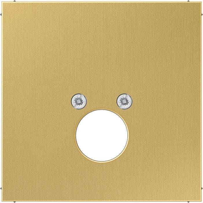 Jung Abdeckung Mess/clas ME 2962-1 C