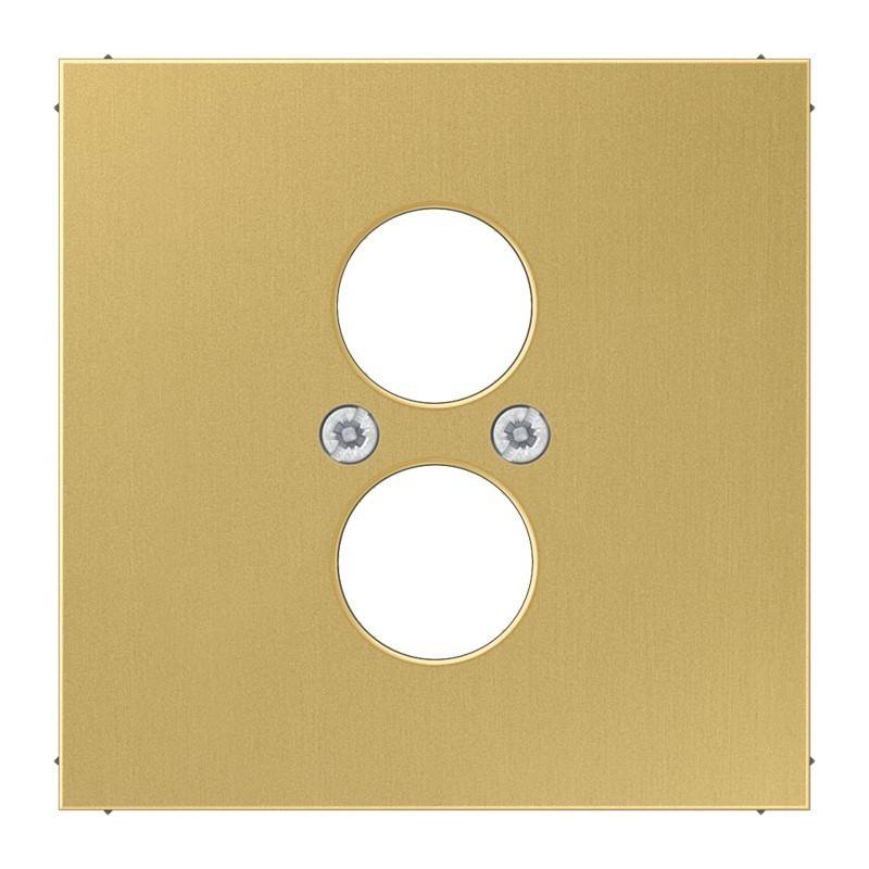 Goldene Wandplatte mit zwei übereinander angeordneten kreisförmigen Öffnungen und zwei sichtbaren Schrauben, wahrscheinlich für eine Duplex-Steckdose oder einen Schalter.