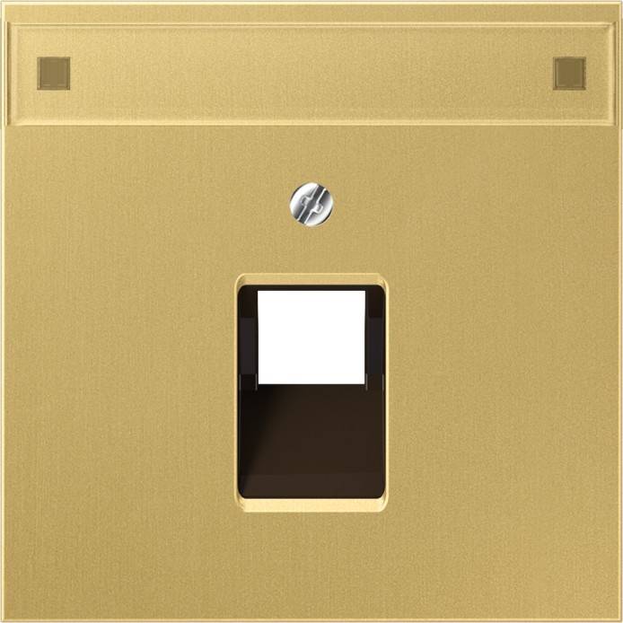 Jung Abdeckung Mess/clas ME 2969-1 NAUA C