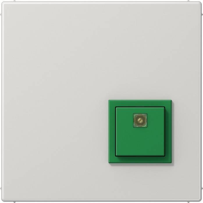 Ein grüner Lichtschalter an einer schlichten weißen Wand.