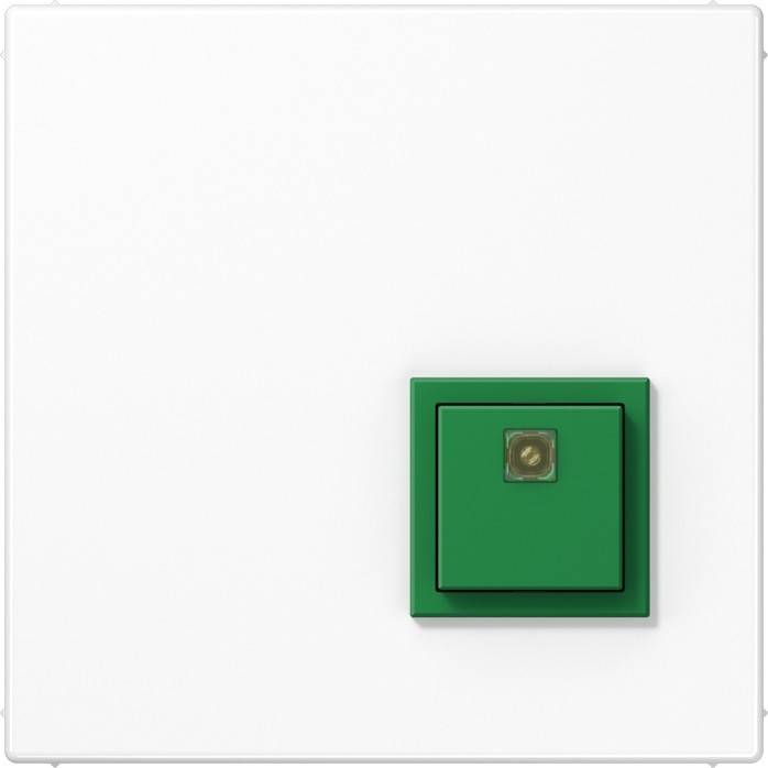 Ein grüner quadratischer Knopf auf einer schlichten weißen Oberfläche mit einem kleinen kreisförmigen Symbol in der Mitte.