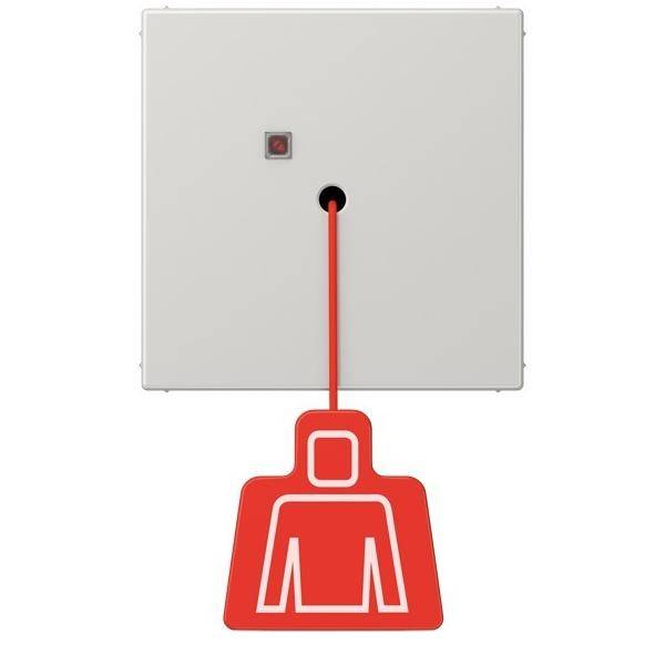 Feuermelder mit einem roten Zuggriff, der darunter hängt.
