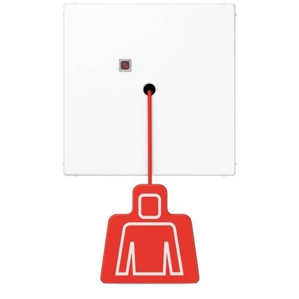 Ein weißes Alarmfeld mit einer roten Zugschnur und einem Symbol einer Person, das ein Notrufsystem zur Hilfeleistung anzeigt.