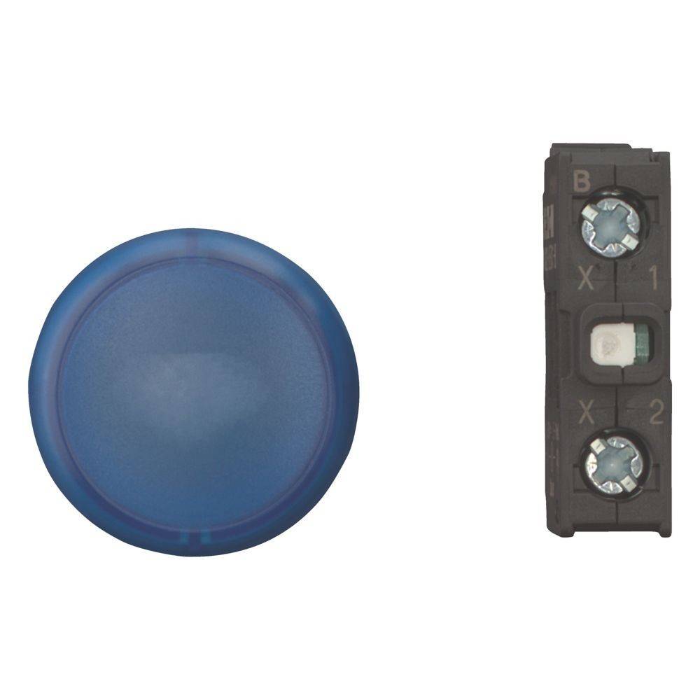 Blauer Druckknopf auf der linken Seite und zweipoliger elektrischer Anschluss auf der rechten Seite, beide Komponenten für einen elektrischen Schalteraufbau.