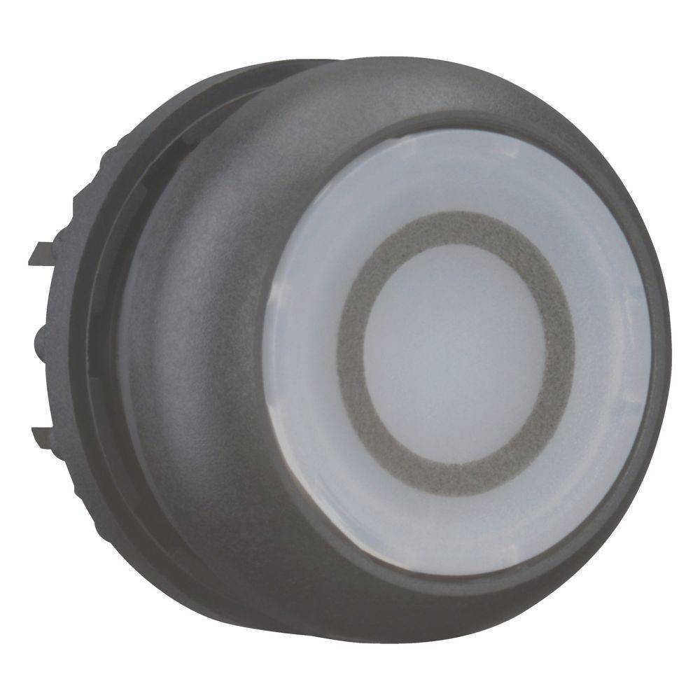 Ein schwarzer runder Knopf mit weißem Zentrum, der einen grauen Ring um die Mitte herum aufweist.