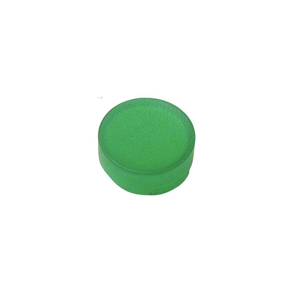 Ein kleines, rundes, grünes, flach abgerundetes Objekt, das einem Gummi- oder Plastikdeckel ähnelt.