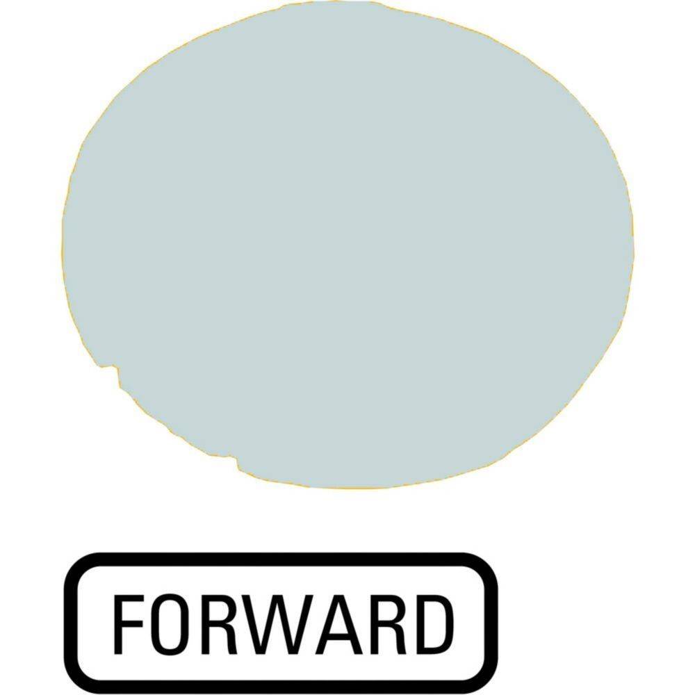 Ein strukturierter grauer Kreis über einem schwarz umrandeten Rechteck, das das Wort ‚FORWARD' in Großbuchstaben enthält.