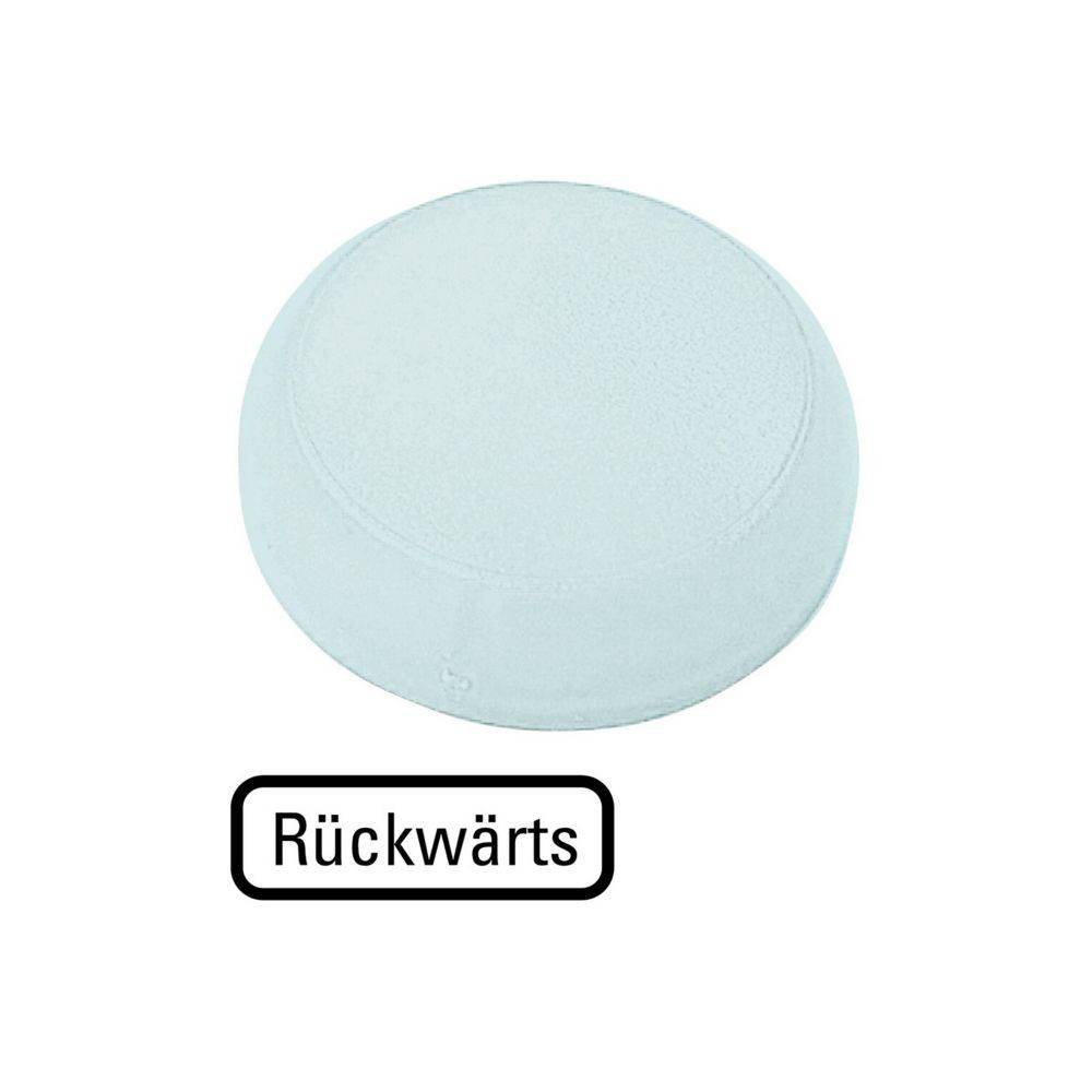 Ein rundes, hellblaues Objekt, das mit 'Rückwärts' beschriftet ist und darauf hinweist, dass es sich um eine Rückansicht handelt. Das Bild zeigt die Form und Farbe des Gegenstands.