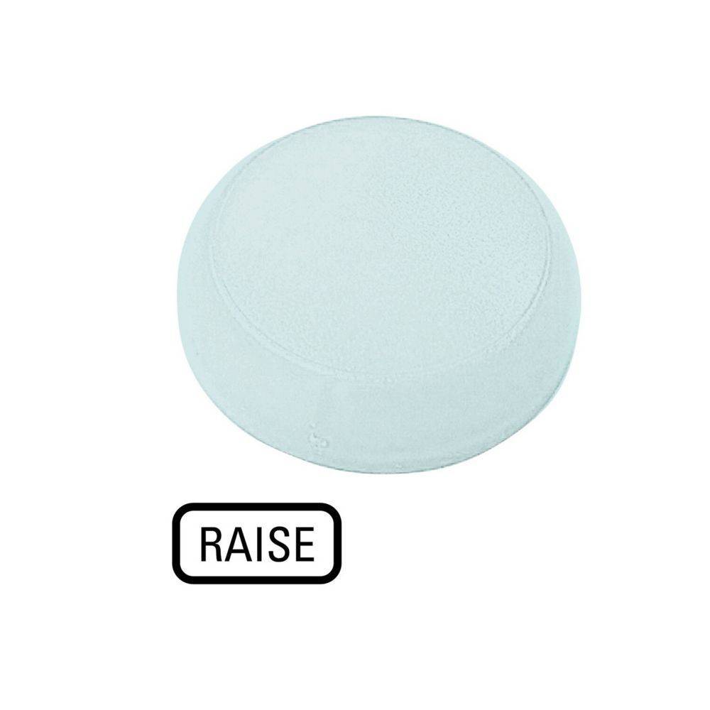 Ein hellblauer zylindrischer Sitzkissen mit abgerundeter Oberseite, beschriftet mit 'RAISE' in einem kleinen Rechteck darunter.