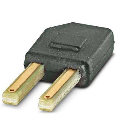 Ein schwarzer elektrischer Zweistecker-Verbinder mit einem rechteckigen Gehäuse und zwei flachen, goldfarben Stiften, die nach außen hervorstehen.