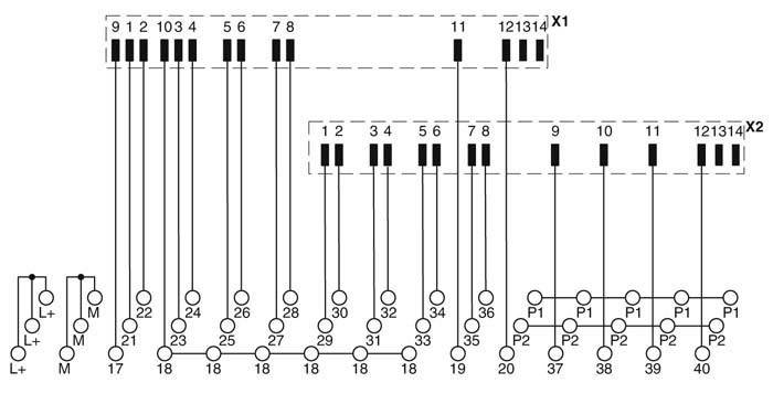 Diagramm zur Anzeige der Pin-Konfiguration von Anschlüssen. Zahlen geben Pin-Positionen an: 1-12, 31-40. P1 und P2 bezeichnen spezifische Gruppen.