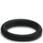 Ein schwarzer O-Ring.