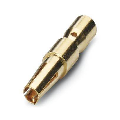 Goldfarbige Metallverbindungsstift mit zylindrischer Form und Schlitzspitze, auf weißem Hintergrund gezeigt.