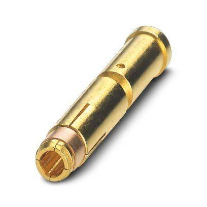 Goldmetall-Fassverschluss-Adapter mit einem Buchsenende und einem Steckerende auf weißem Hintergrund.