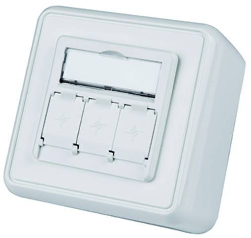 Telegärtner Modulaufnahme 100021385