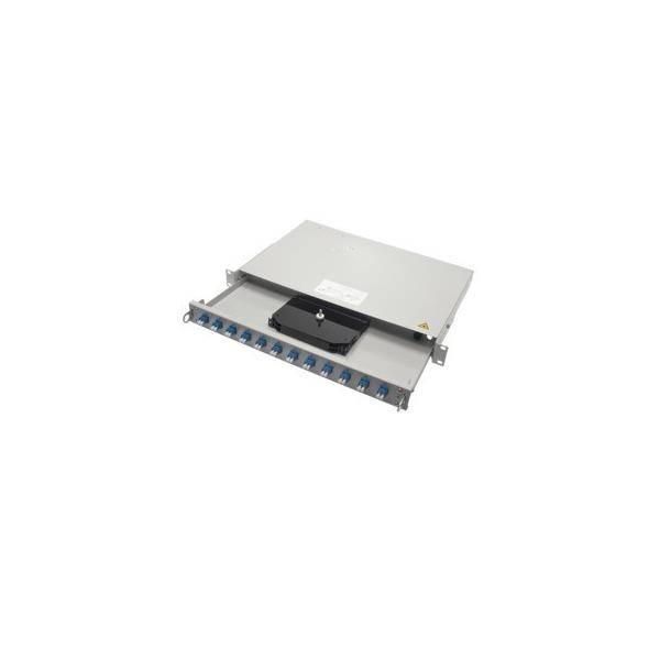 Ein Metall-Netzwerkswitch mit mehreren blauen Ethernet-Ports auf der Vorderseite, konzipiert für den Einbau in ein Serverrack.