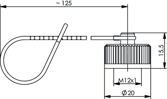 Technische Zeichnung mit Seitenansicht einer Schraubenverbindung mit Abmessungen M12 und Ø20. Länge angegeben als ~125.