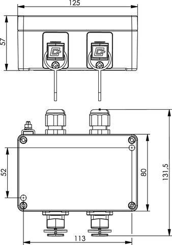 Telegärtner STX V4 Doppelanschlussdose 100022781