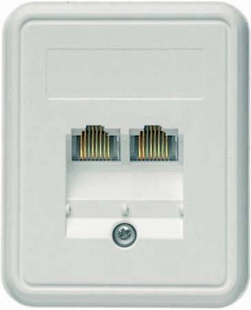 Telegärtner Anschlussdose UMJ45 8/8 Ap 100022999