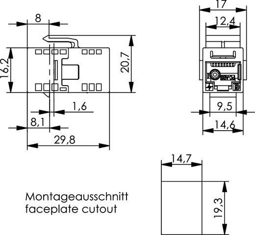 Telegärtner UMJ-Kupplung K Cat.5e 100023229