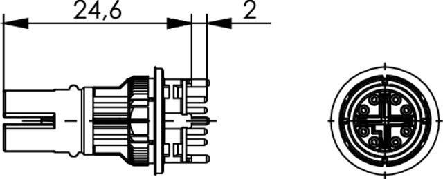 Telegärtner STX M12x1 EBB X-kod. 100007550