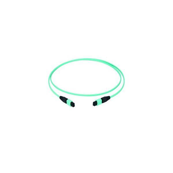 Telegärtner MPO/MTP-Patchkabel türk 1m 100010909