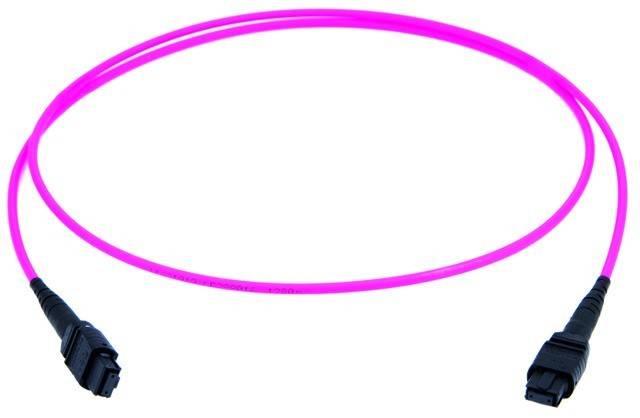 Telegärtner MPO/MTP-Patchkabel vio 1m 100010910