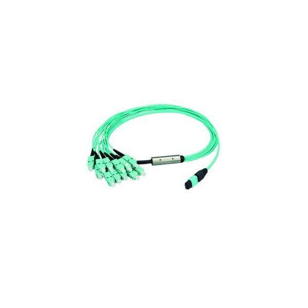 Telegärtner MPO/MTP Aufteilkbl türk 1m 100010920