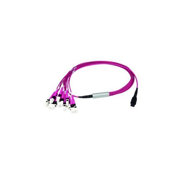 Telegärtner MPO/MTP Aufteilkabl vio 1m 100010922