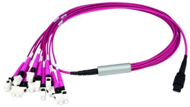 Telegärtner MPO/MTP Aufteilkabl vio 1m 100010922